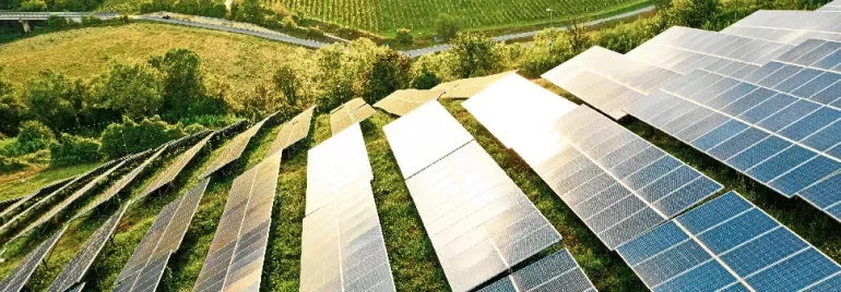 Rows of solar panels on a sunny hillside, surrounded by greenery.