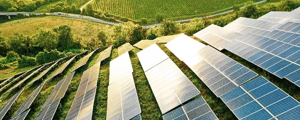 Rows of solar panels on a sunny hillside, surrounded by greenery.